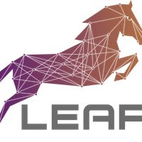 Tsinghua-LeapLab