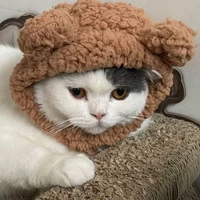 Linkangheng's profile picture
