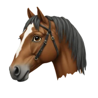 Anton Liutin's profile picture